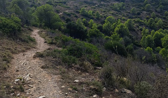 Photo 2 de l’itinéraire Bikemap « 17 Roses Far Lledó Montjoi Cap-Norfeu Canadell Pas-del-Llop Puig-Alt Les-Gates-Oest Fràgam »