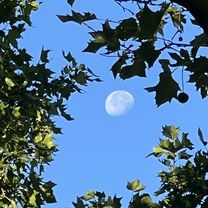 Bornhagenweg, Berlin do Trebbiner Straße, Blankenfelde-Mahlow