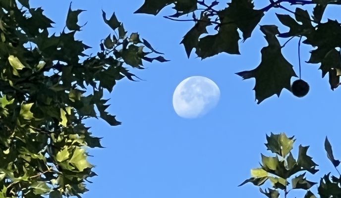 Foto 1 de la ruta de Bikemap "Bornhagenweg, Berlin do Trebbiner Straße, Blankenfelde-Mahlow" Foto 1 de la ruta de Bikemap "Bornhagenweg, Berlin do Trebbiner Straße, Blankenfelde-Mahlow"