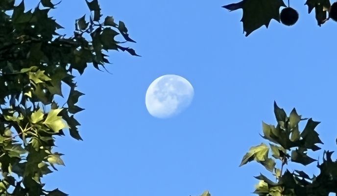 Foto 2 de la ruta de Bikemap "Bornhagenweg, Berlin do Trebbiner Straße, Blankenfelde-Mahlow" Foto 2 de la ruta de Bikemap "Bornhagenweg, Berlin do Trebbiner Straße, Blankenfelde-Mahlow"