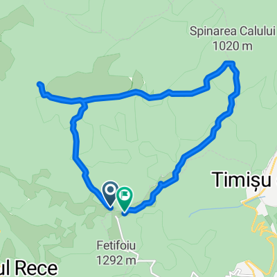 3 Brazi - Cheile Rasnoavei - Spinarea Calului - Poiana Secuilor - 3 Brazi
