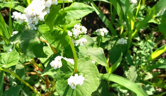 Foto 1 der Bikemap-Route "Windradweg" Foto 1 der Bikemap-Route "Windradweg"