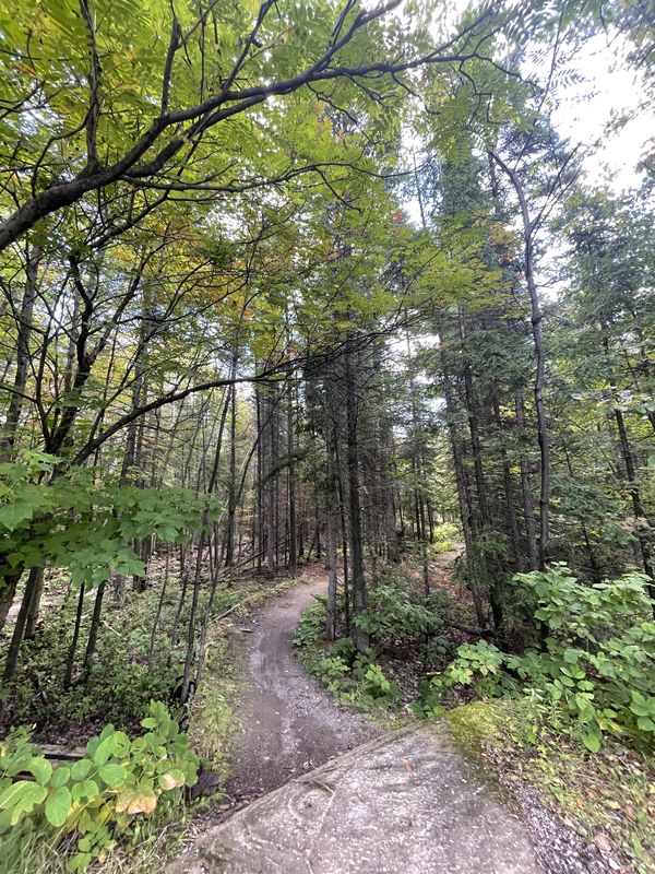 Rue Jeanne-Mance, Saguenay à Ch de la Réserve, Saguenay
