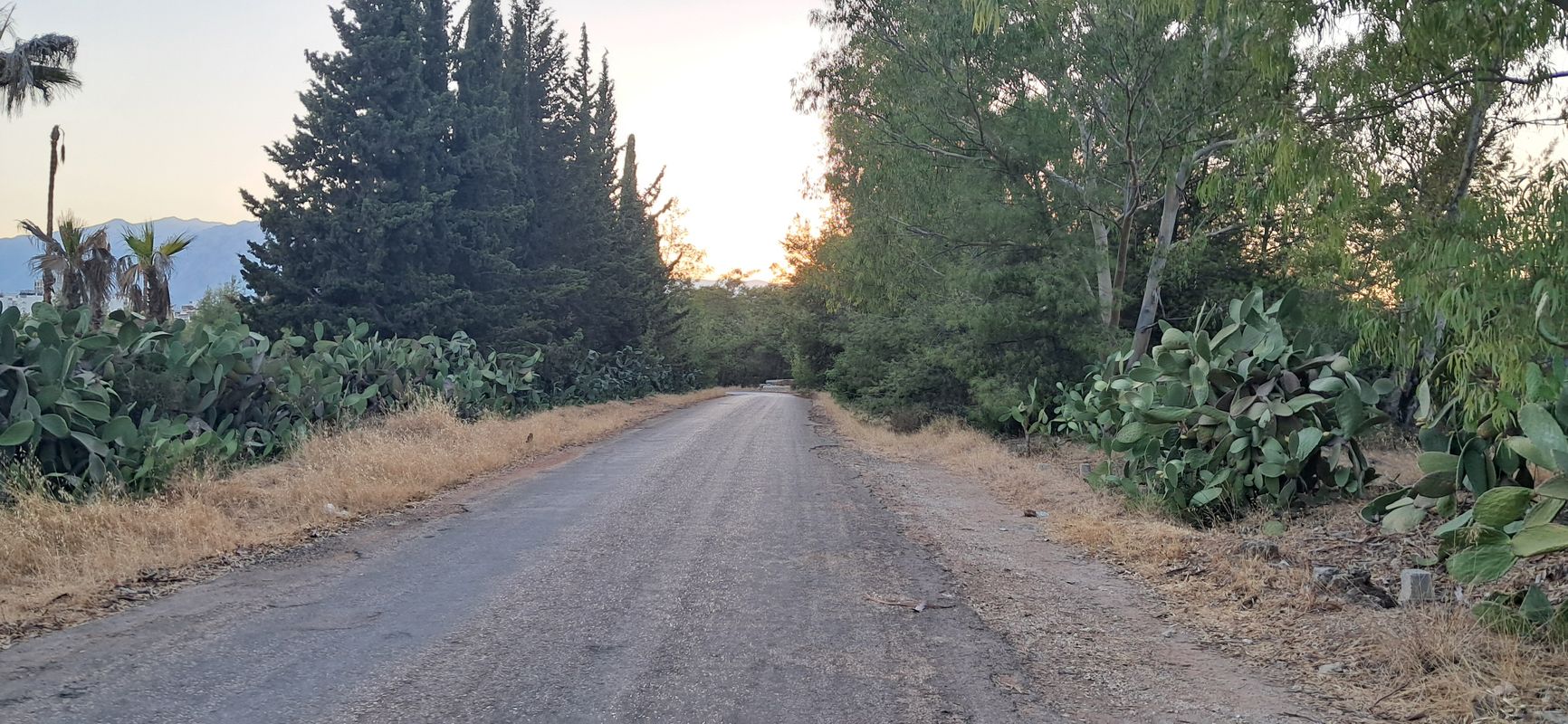 237. Sokak No:2/4 to 237. Sokak No:2/4