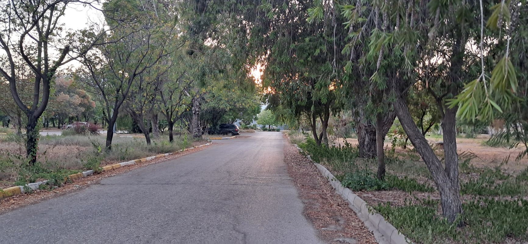 237. Sokak No:2/4 to 237. Sokak No:2/4