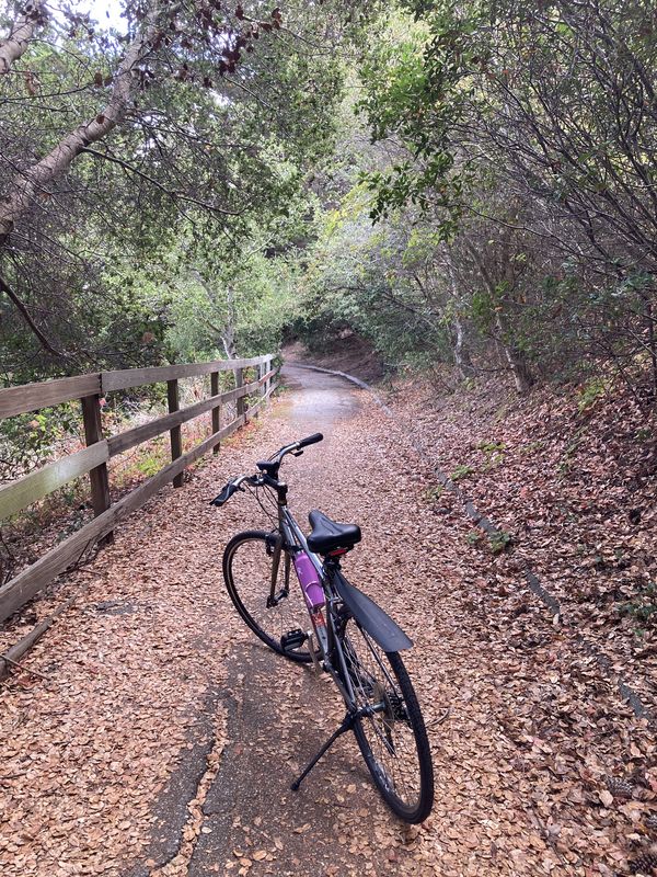 Woodside Rd, Woodside to Belmont Woods Way, Belmont