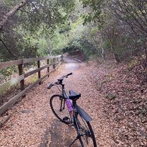 Woodside Rd, Woodside to Belmont Woods Way, Belmont