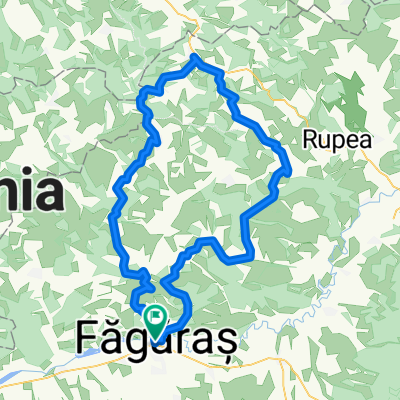 Route in Făgăraș Victor