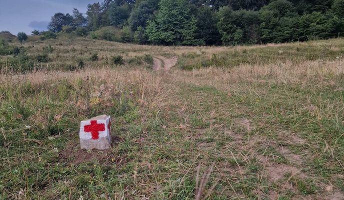 Photo 1 of the Bikemap route "Alma Vii - Pelișor"