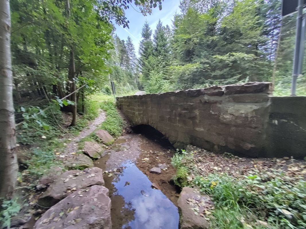 Max-Eyth-Straße nach Friedrich-Münch-Weg