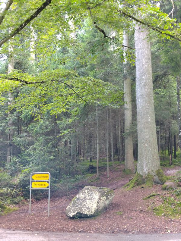 Max-Eyth-Straße nach Friedrich-Münch-Weg