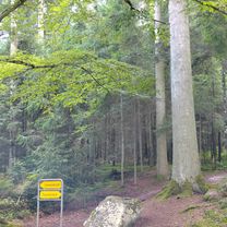Max-Eyth-Straße nach Friedrich-Münch-Weg