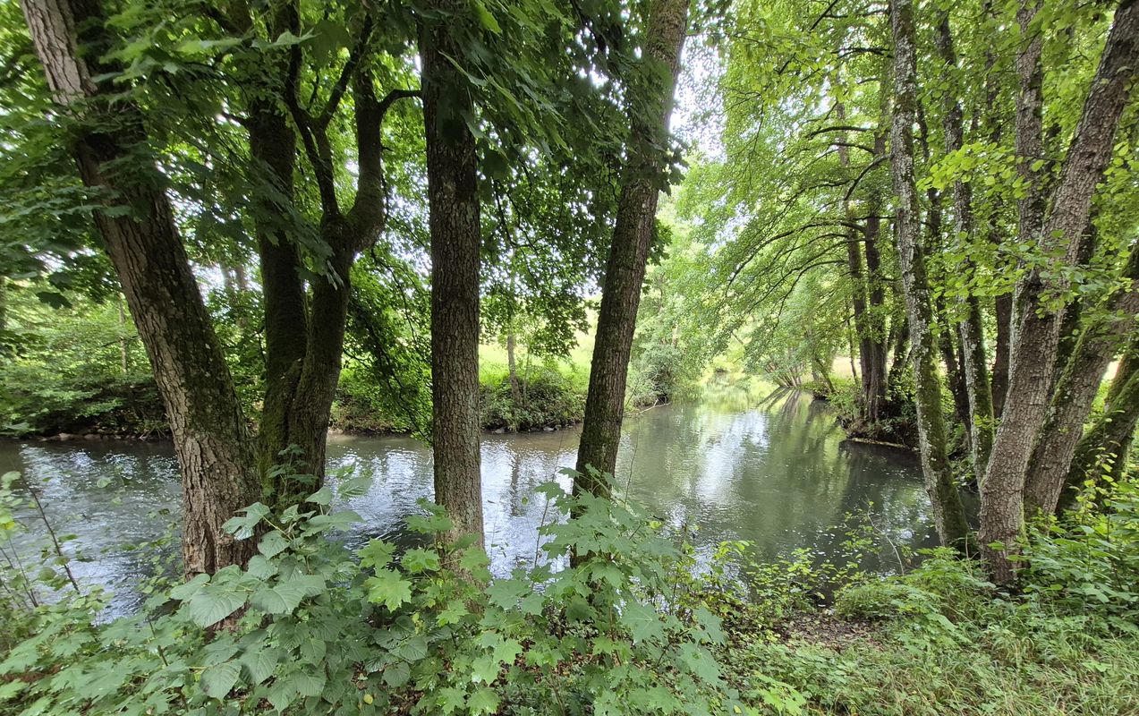 7 Neumarkt i. d. OPf. nach Straubing