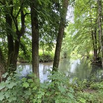 7 Neumarkt i. d. OPf. nach Straubing