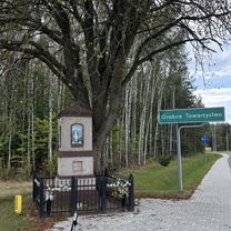 Króla J Sobieskiego, Puszcza Mariańska do Króla J Sobieskiego, Puszcza Mariańska