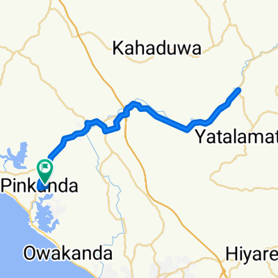 pinkanda-nogoda-pinkanda