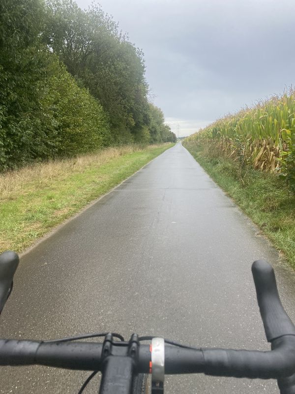 Gertrud-Bäumer-Straße, Troisdorf nach Gertrud-Bäumer-Straße, Troisdorf