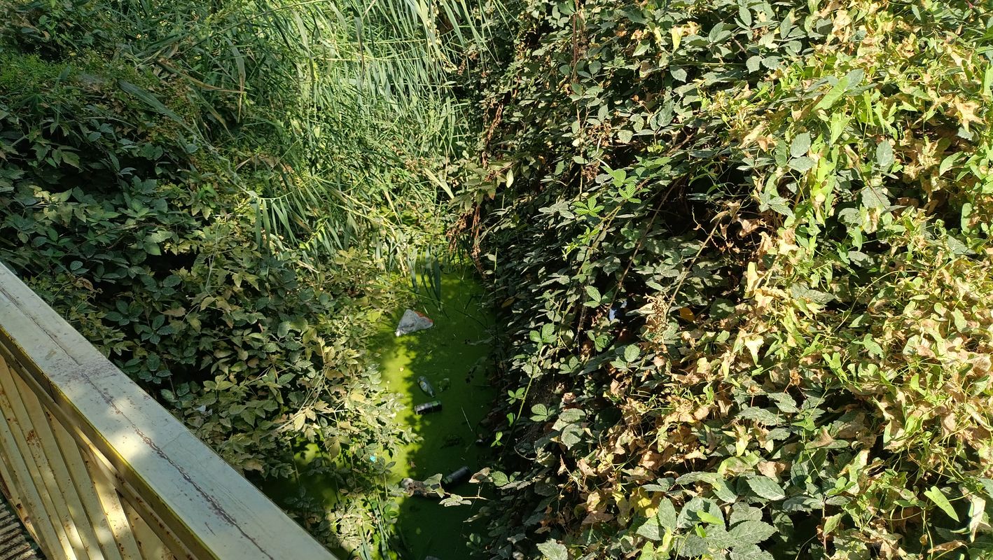 Медленная езда