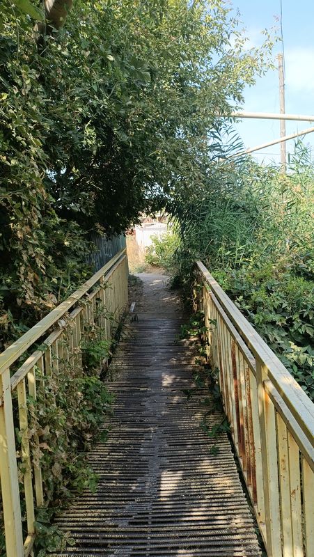 Медленная езда