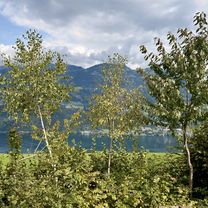 Feistritz-Simetter-Egelsee-Insberg