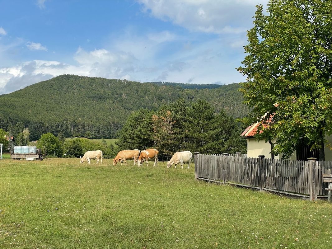 Rec Marias Land Loop - Kurz