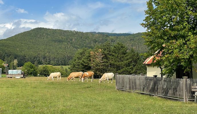 Foto 2 der Bikemap-Route "Rec Marias Land Loop - Kurz"