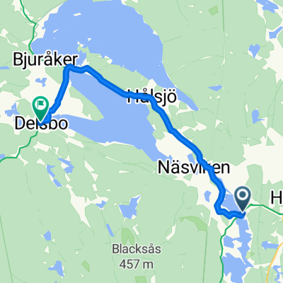 From Forsa to Delsbo
