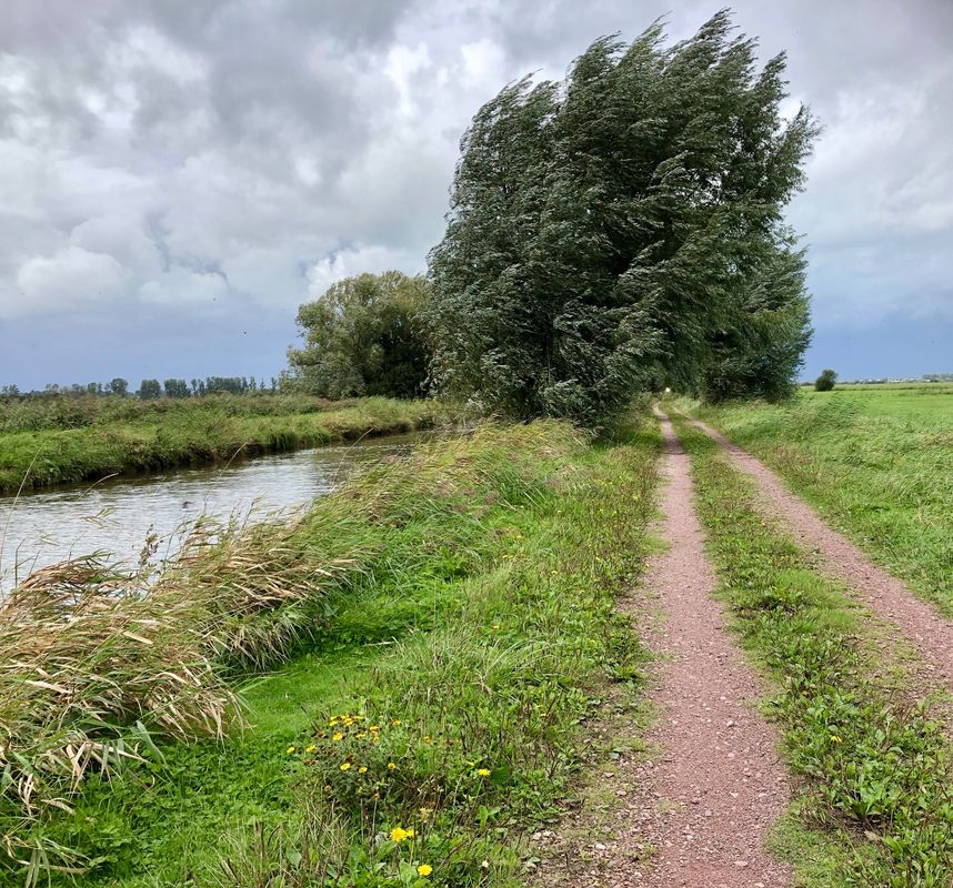 Saint-Jean-de-Daye - Carentan-les-Marais