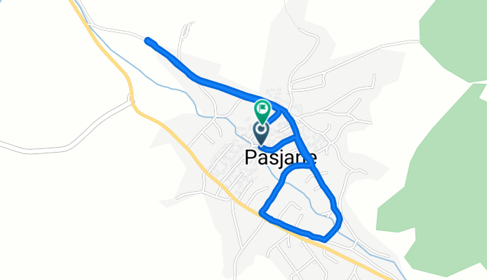 Пасјане to Пасјане