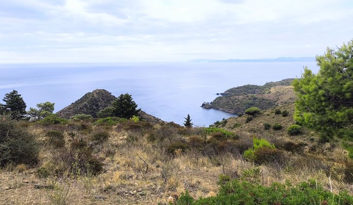 Foto 2 der Bikemap-Route "17 Roses Can-Berta Bombo Pas-del-Llop Coll-del-Canadell Cova-de-les-Ermites Mirador-Cala-Lledó Mirador-Falconera"