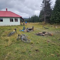 paltinis- tău bistra