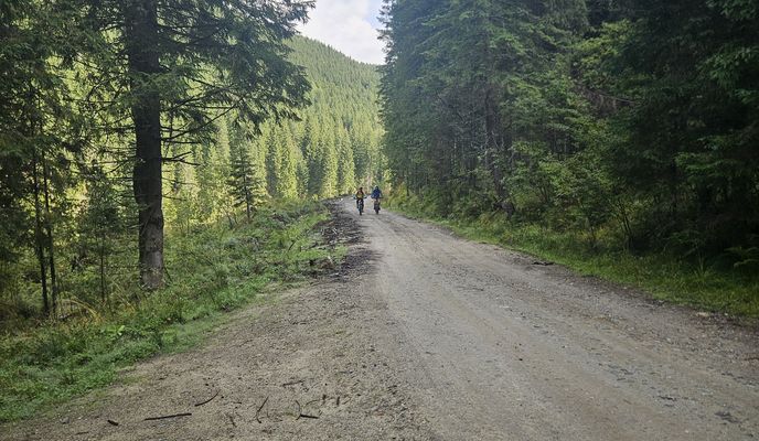 Photo 2 de l’itinéraire Bikemap « paltinis- tău bistra »