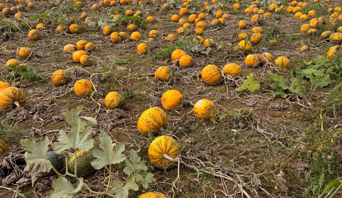 Photo 1 de l’itinéraire Bikemap « N-Steyr-Sierning-N »