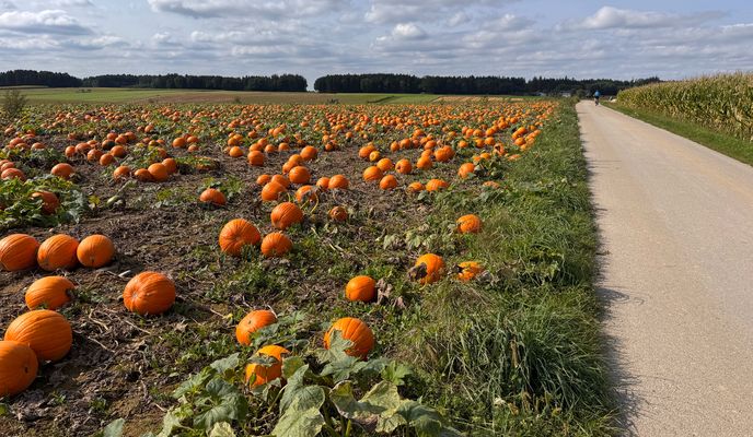 Photo 2 de l’itinéraire Bikemap « N-Steyr-Sierning-N »