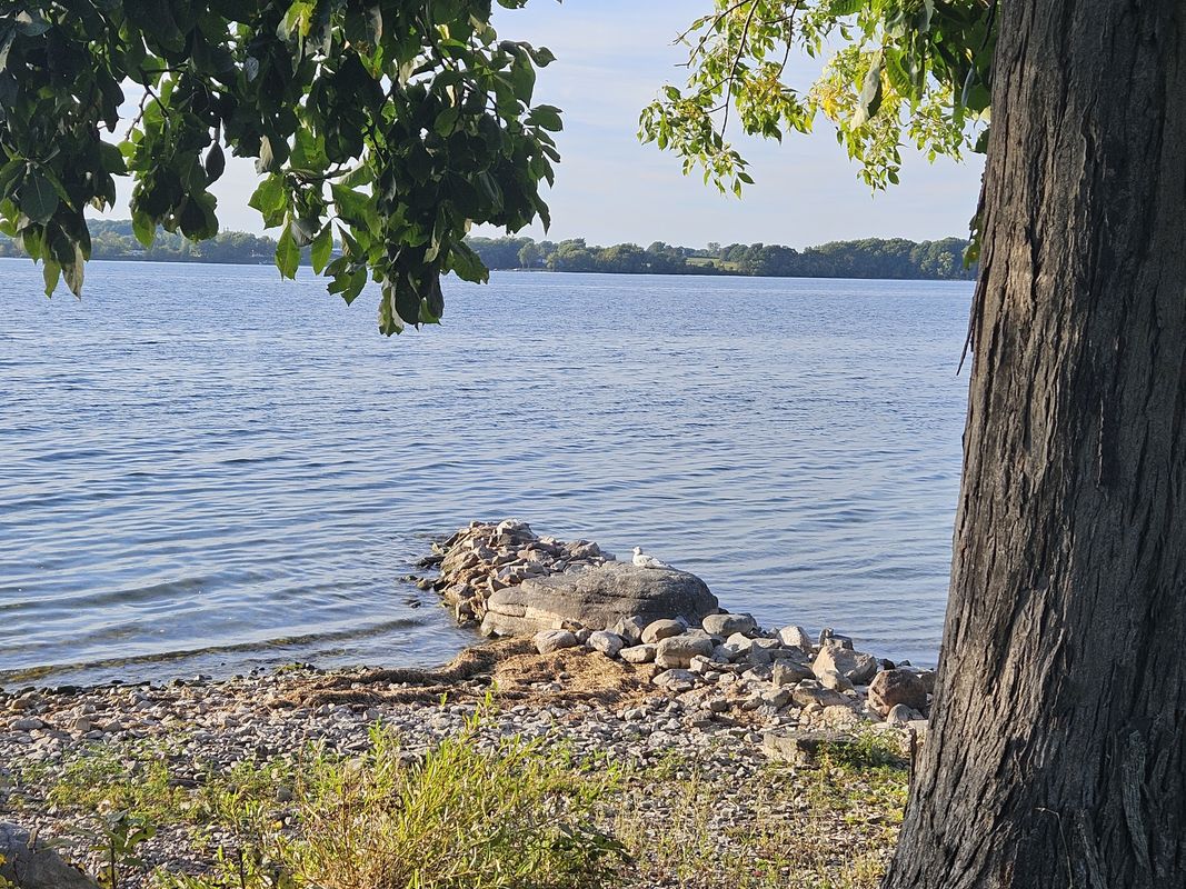 cedar point sp