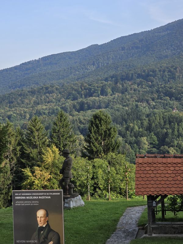 doma-Potočnik-Meranovo