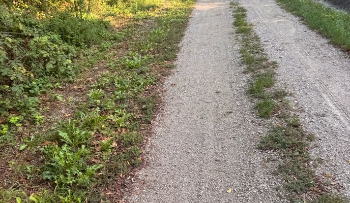 Photo 1 of the Bikemap route "Fertő kör (nagy)" Photo 1 of the Bikemap route "Fertő kör (nagy)"