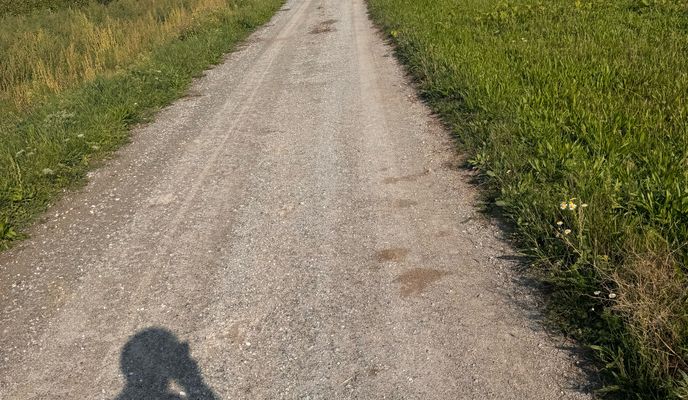 Photo 2 of the Bikemap route "Fertő kör (nagy)" Photo 2 of the Bikemap route "Fertő kör (nagy)"