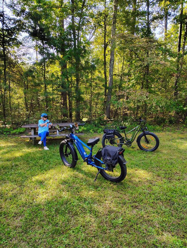 Iron Hill Trail @ Red Top Mountain