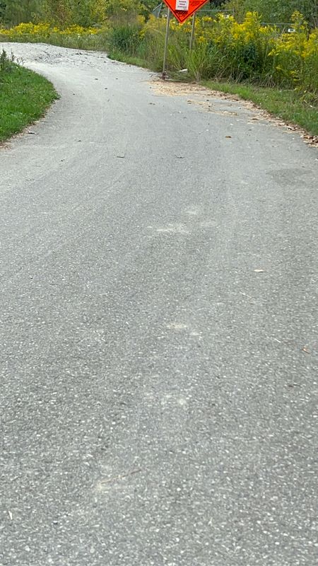 Bendale Park Tr, Toronto to Gaiety Dr, Toronto