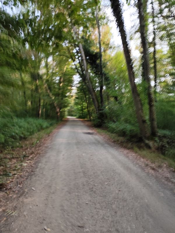 Murek-Radkersburg-Murek