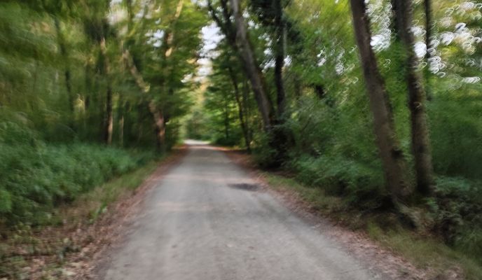 Foto 2 de la ruta de Bikemap "Murek-Radkersburg-Murek"