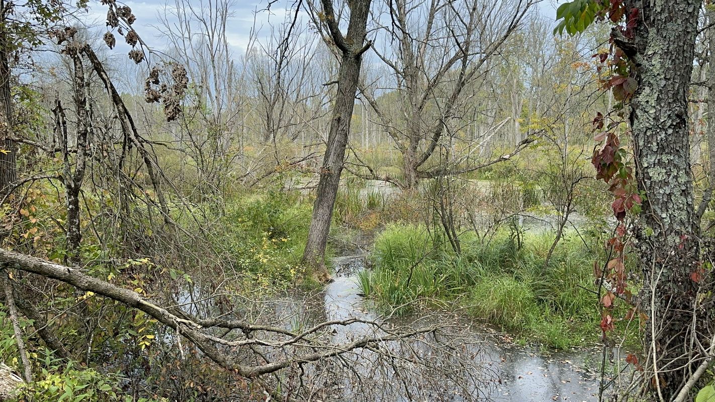 W Elm St, Butler to Richland B and O Trail, Mansfield