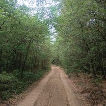 В Мотоль, брод через Ясельду, пикник на Мульном и в темноте домой