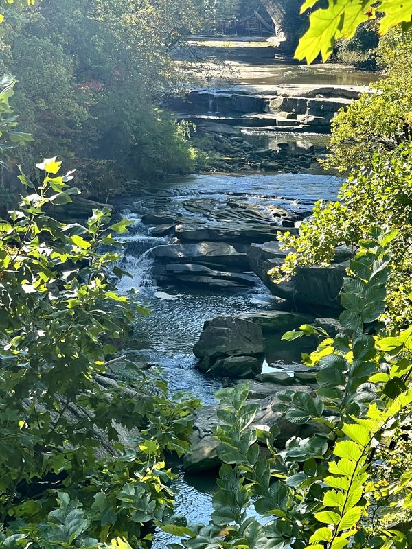 2) MetroPark Longer South Mastick Picnic Area to Berea Falls Scenic Overlook