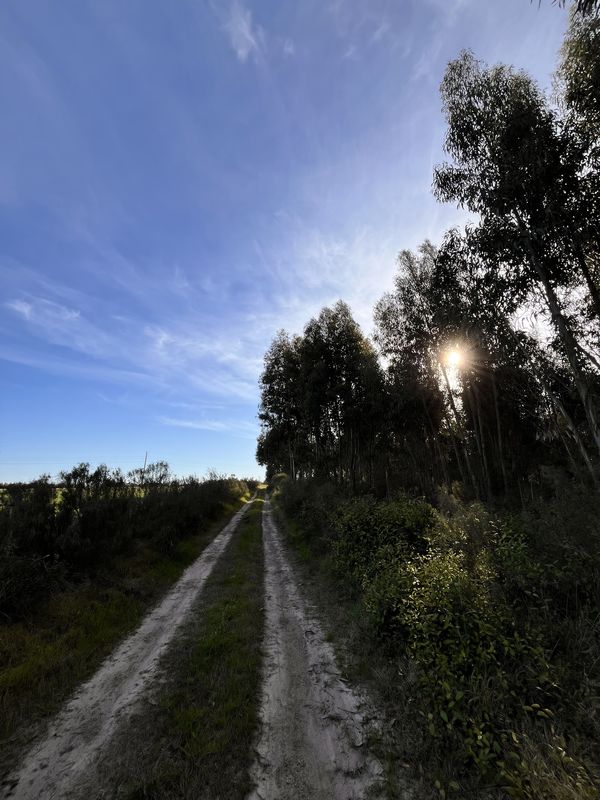 18 de Julio, Pando a Aurelia Casas, Pando