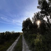 18 de Julio, Pando a Aurelia Casas, Pando
