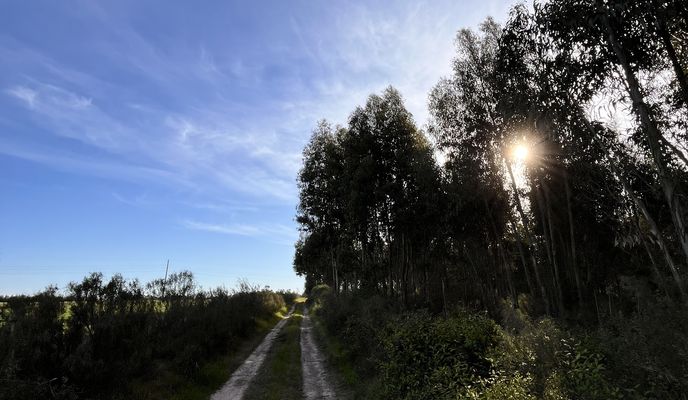 Zdjęcie 2 trasy Bikemap „18 de Julio, Pando a Aurelia Casas, Pando”