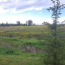 красивый вид и шашлычная зона