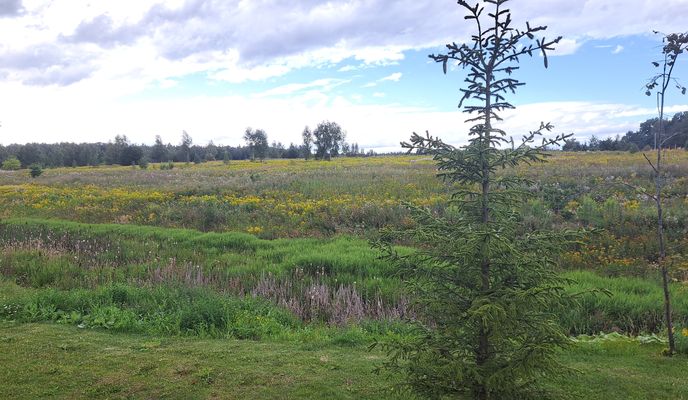 Photo 1 de l’itinéraire Bikemap « красивый вид и шашлычная зона » Photo 1 de l’itinéraire Bikemap « красивый вид и шашлычная зона »